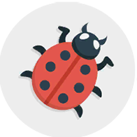 WordBrain 2 Ass Insekten und Käfer Niveau 3 Solution